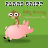 Baby Monkey (Going Backwards on a Pig) song lyrics