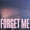 Forget Me (Piano Acoustic) artwork