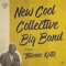 Padee (feat. Thierno Koité) - New Cool Collective lyrics