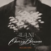 Cherry Blossom (Moors Remix) - Single artwork