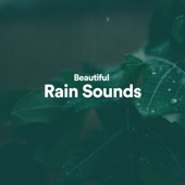 Beautiful Rain Sounds artwork