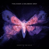 Tinlicker - Choir To The Wild