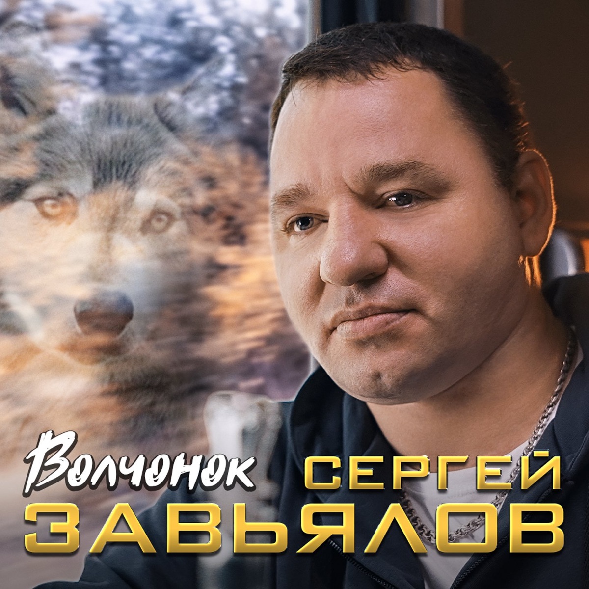 Сергей Завьялов – Волчонок: слушать и скачать mp3 песню