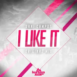 I Like It - Single - Dani Campos