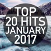 Top 20 Hits January 2017