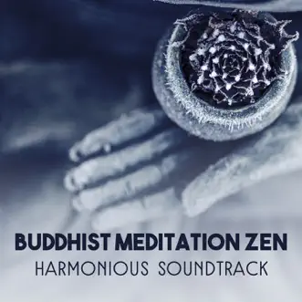 Discover Your Meditation by Mindfulness Meditation Academy song reviws