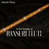 In the Temple of Bansuri Flute album lyrics, reviews, download