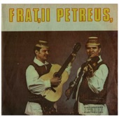 Frații Petreuș, Vol. 2 artwork