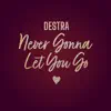 Stream & download Never Gonna Let You Go - Single