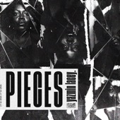 Pieces artwork