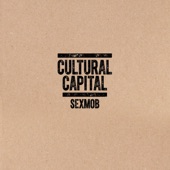 Cultural Capital (feat. Steven Bernstein, Tony Scherr, Kenny Wollesen & Briggan Krauss) artwork