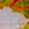 Sideways Forest - EP