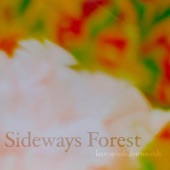 Love Spirals Downwards - Sideways Forest (Acoustic Mix) [Bonus Track]