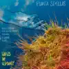 Planta Semillas (feat. Ramiro Blas) - Single album lyrics, reviews, download