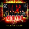 Volver Amar - Single