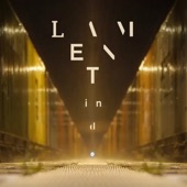 Lament in D Minor (feat. Demian Kappenstein & Daniel Stelter) artwork