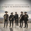 Aunque Te Intento Olvidar - Single