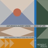 Edge of Life (Sandhog Remix) artwork