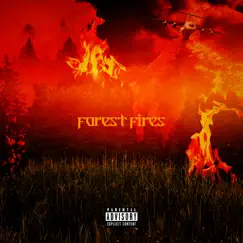 Forest Fires by Knightz album reviews, ratings, credits