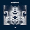 Biorhythms