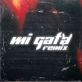 Mi Gata (Remix) artwork