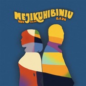 Mejikuhibiniu artwork