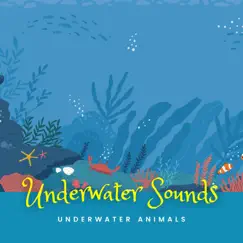 Underwater Sounds & Underwater Animals by Nature Ambience, Whales & Underwater Zone album reviews, ratings, credits
