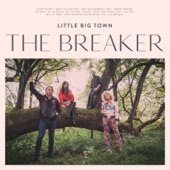 The Breaker cover