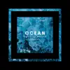 Relaxing Nature Sounds: Ocean album lyrics, reviews, download
