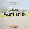 Won't Let Go (Nahwmality Riddim) - Single album lyrics, reviews, download