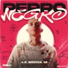 Perro Negro - Single