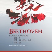 Beethoven: Piano Sonatas, Opp. 7, 14 & 22 artwork