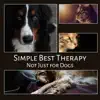 Simple Best Therapy Not Just for Dogs: Calm Down Your Pet, Cat or Other Animal, Deep Relaxation for Your Pupils, Stress Reduction, Fight Anxiety, Nature Sounds for Dog Comfort & Sleep album lyrics, reviews, download