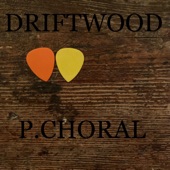 Driftwood artwork