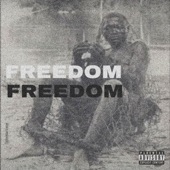 Freedom artwork