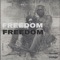 Freedom artwork