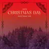 2022 Christmas Day: Jazz Music Mix,Cozy Relaxing Winter Holiday Music, Merry Christmas album lyrics, reviews, download