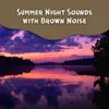 Summer Night Sounds with Brown Noise, Loopable album lyrics, reviews, download