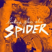 Spider artwork