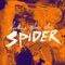 Spider artwork