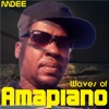 Waves of Amapiano (Instrumental)