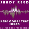 Here Comes That Sound (A Peter Monk Production) - EP