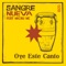 Oye este canto (feat. Michu MC) - Sangre Nueva lyrics