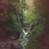 Calm Water Creek Nature Sound - Single album lyrics, reviews, download