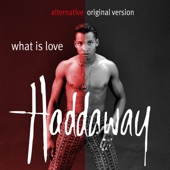 What Is Love (Alternative 7" Mix) artwork