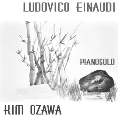 Ludovico Einaudi - Pianosolo by Kim Ozawa album reviews, ratings, credits