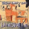 Bluesville - Stephen Barry Band lyrics