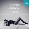 Essential Chill Out Tunes, Vol. 06