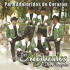Los Mejorales Del Mezquite - Pobre Corazón