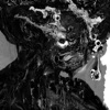 Warm Water - Single